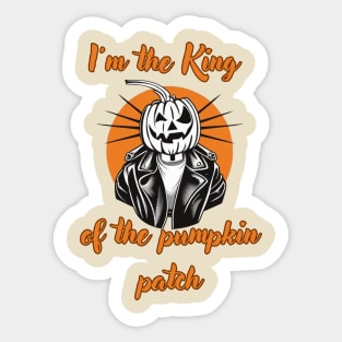 Coolest Pumpkin In The Patch Sticker